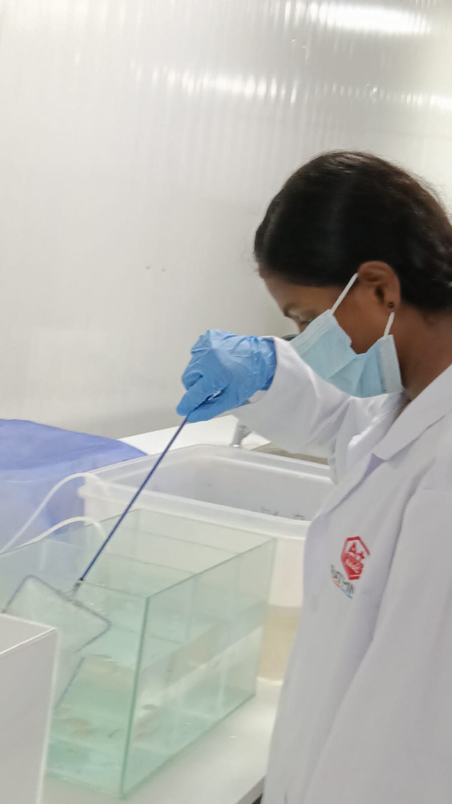 bioscholar researcher working hands-on with a laboratory tank